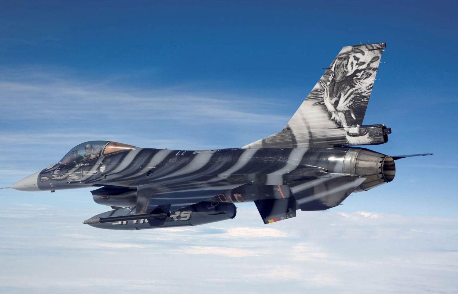 Store bg F 16 Mlu Tigermeet 09 store-bg-f-16-mlu-tigermeet-09