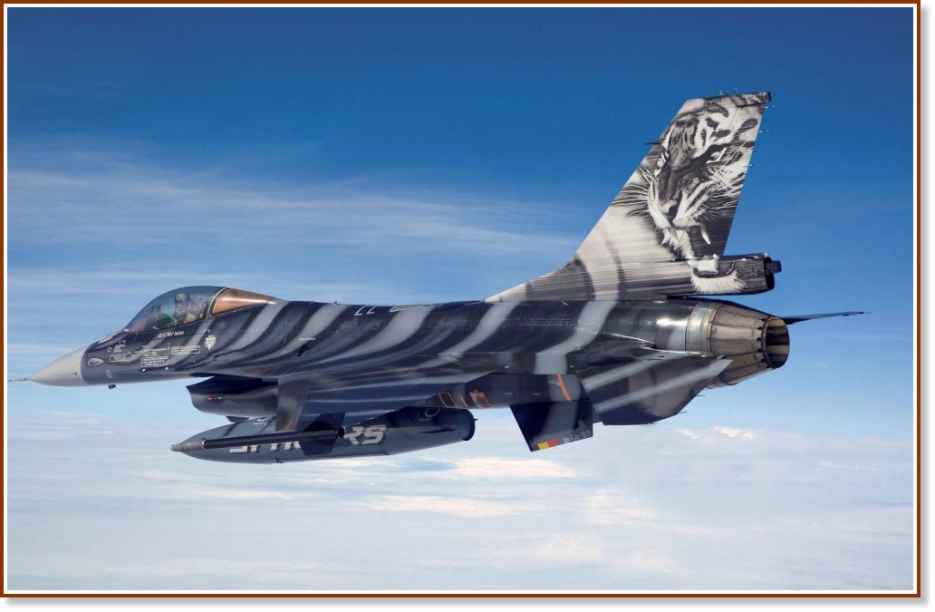  - F-16 Mlu "Tigermeet 09" -   - 