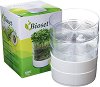 ���� �� ��������� Savic Bioset