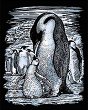     Sequin Art -  - 