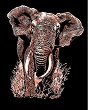     Sequin Art -  - 