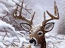    Royal & Langnickel -   