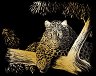     Royal & Langnickel -    - 