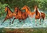 ���������� ���� - 
