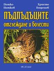 �����������: ���������� � ������� - 