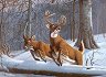    Royal & Langnickel - 