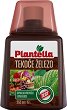 ����� ��� ����� �������� �� ������ Plantella