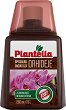 ����� ��� �� ������� Plantella