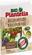 ������� ������� �� ������ �������� Plantella