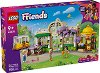 LEGO Friends - ��������� ������ � ������� �� ����� - 