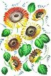   CADENCE - 