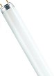 LED ���� LEDVANCE LUMILUX PLUS ECO T8 G13 18 W 6500K