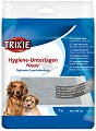        Trixie - 