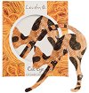 Lovely Cat Eye Eyeliner Stencil - 