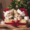 �������� �� ������ Ideyka - ������� ��������