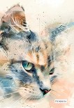 ���������� �������� � ������ ������ - 