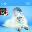������ �������� - Cats 2026 - 