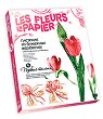 ������ ��� �������� ����� Josephin - �������� ���� - 