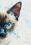 ���������� �������� � ������ ������ - 