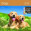 ������ �������� - Dogs 2026 - 