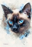 ��������-������ � 3 ������ - 