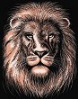     Sequin Art -  - 