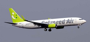   - Boeing 737-800 "Solaseed Air" -   - 