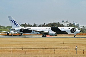   - Boeing 767-300 "Fly Panda" Limited Edition -   - 