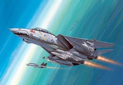   - F-14D Super Tomcat -   - 